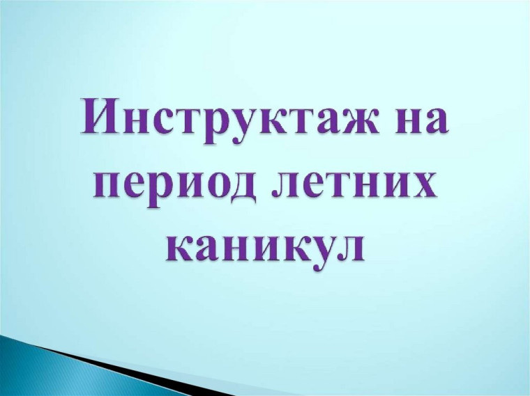 Урок безопасности в школе "Безопасные каникулы".